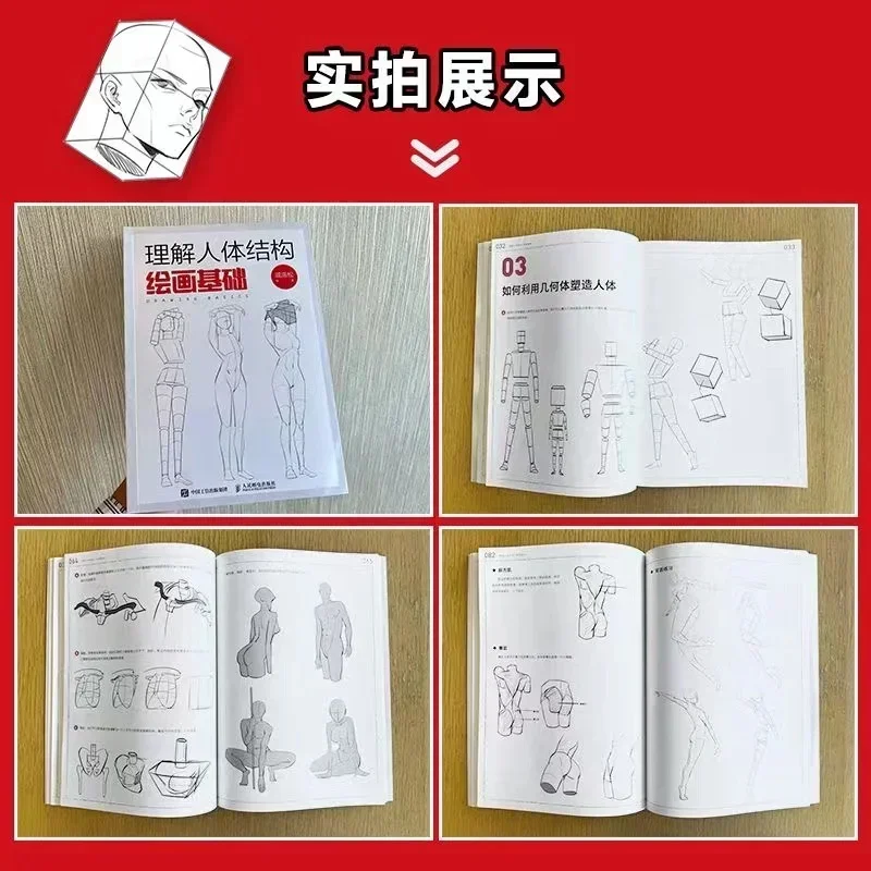

New Dynamic Training + Perspective Principle + Drawing Understanding Basics Anime Painting Tutorial Art Human Body Structure