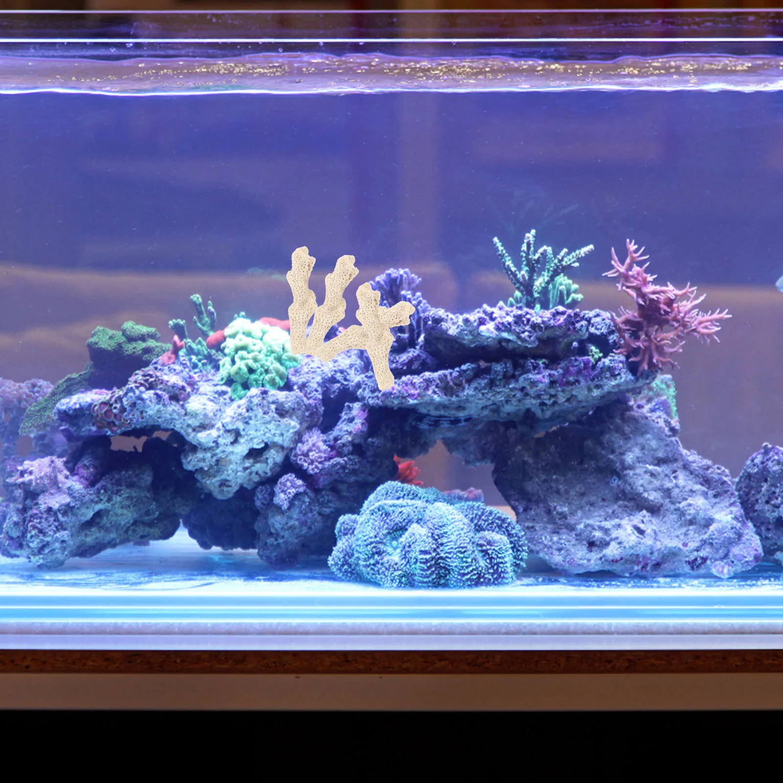 

Coral Bone Sand Fish Tank Reusable Pond Filter Media Stone Water Filtration Aquarium Supply Work