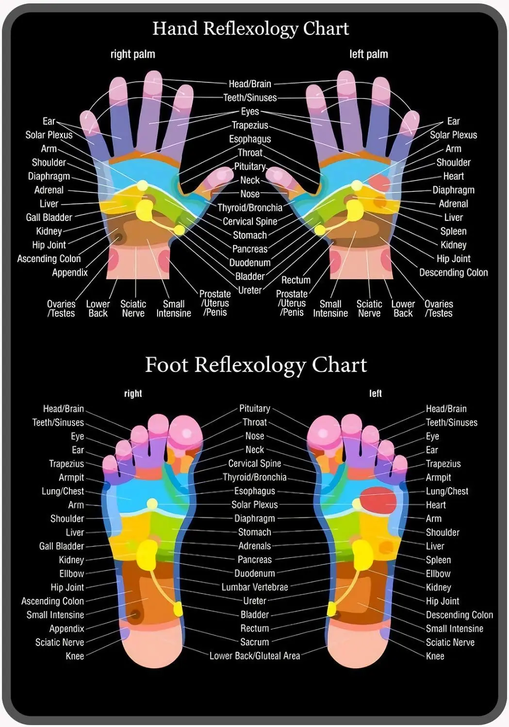 ICRAEZY Hand Reflexology Chart Metal Tin Sign  Vintage Retro Decor for House Bar Pub Plaque Poster Wall Art Sign-aluminum
