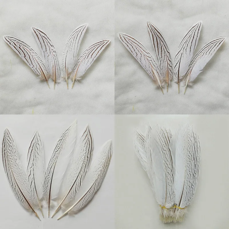 10Pcs 10-35CM Beautiful Nature Silver Pheasant Tail Feathers,Natural Decorative Feathers for Diy Carnival Costume Mask Headdress