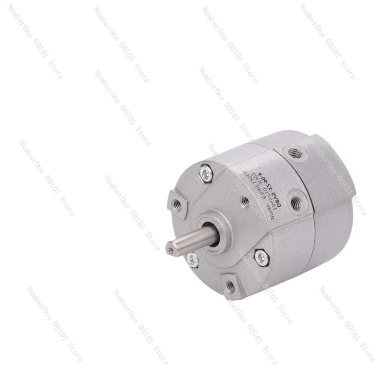 Brand new rotary swing cylinder DRVS-6-8-12-16-25-32-40-90-180-270-P