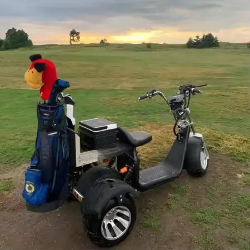 

ZAIQU australia market Wholesale Customization Label Wholesale Parison 2 Seaters 3 Cart three wheel scooters