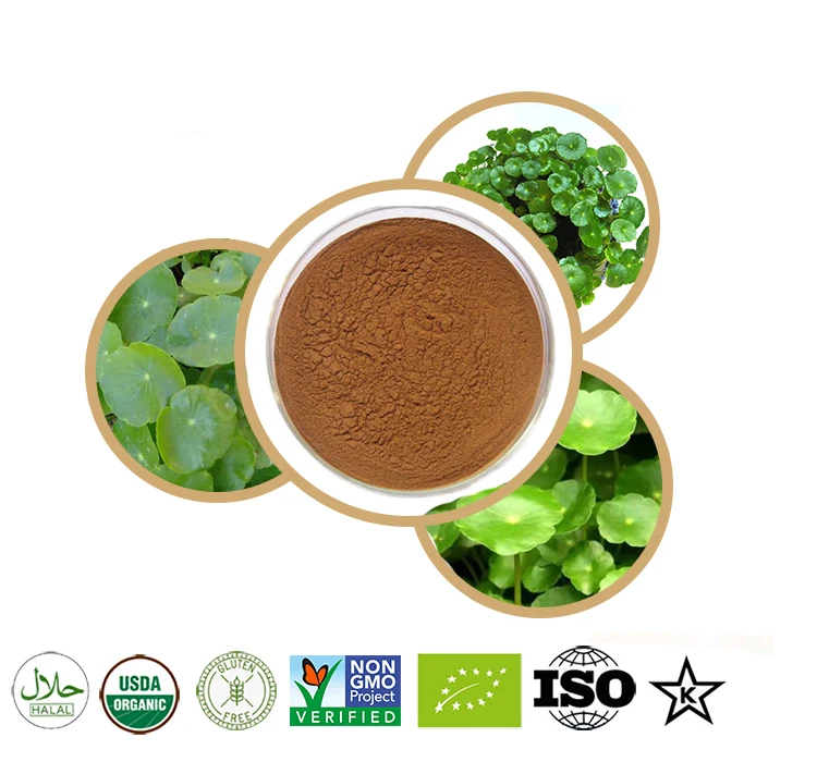100 -1000g gotu Kola / polvo de Centella asiatica 20: 1, reconstrucción de la piel, antienvejecimiento, blanqueamiento, reparaci
