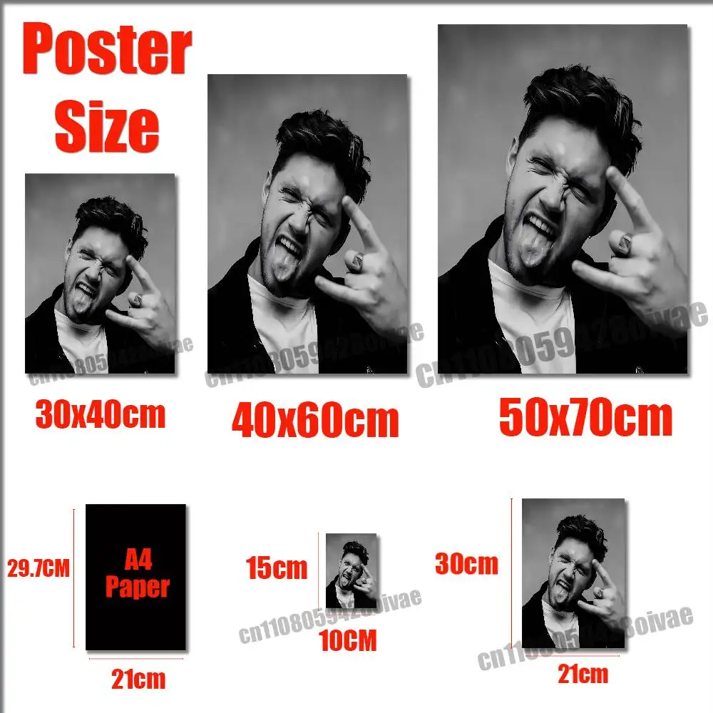 Singer N-Niall H-Horan Poster Sticker For Home Decoration 10x15cm Self-adhesive Souvenirs Playbill Cover