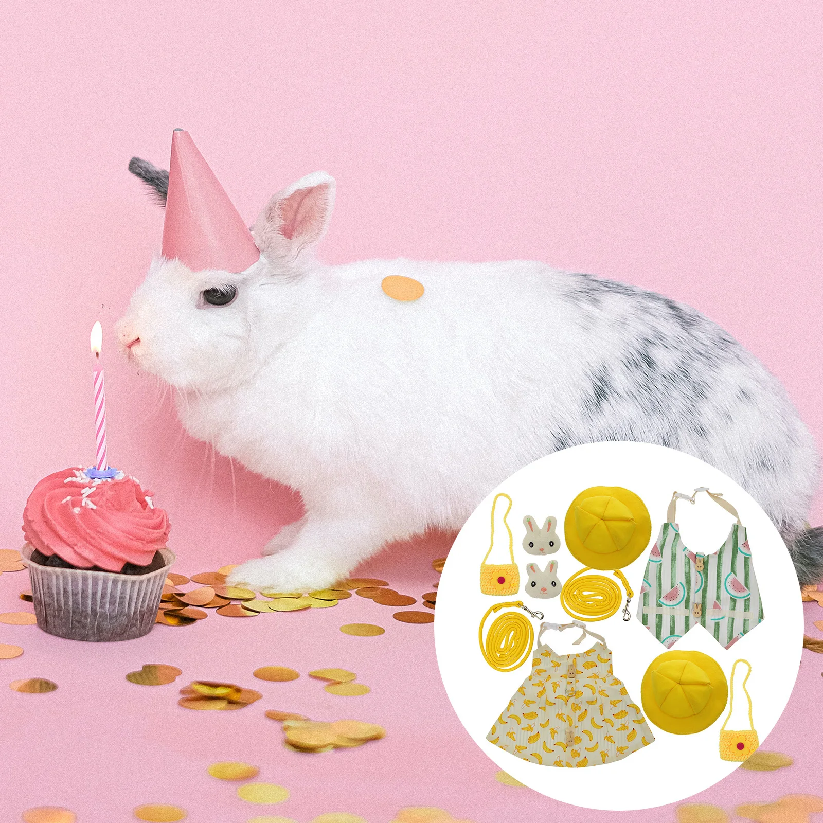 

2Sets Pet Bunny Clothes and Leash Set Wear Resistant Rabbit Costume Outdoor Walking Harness Birthday Holiday Dress Up