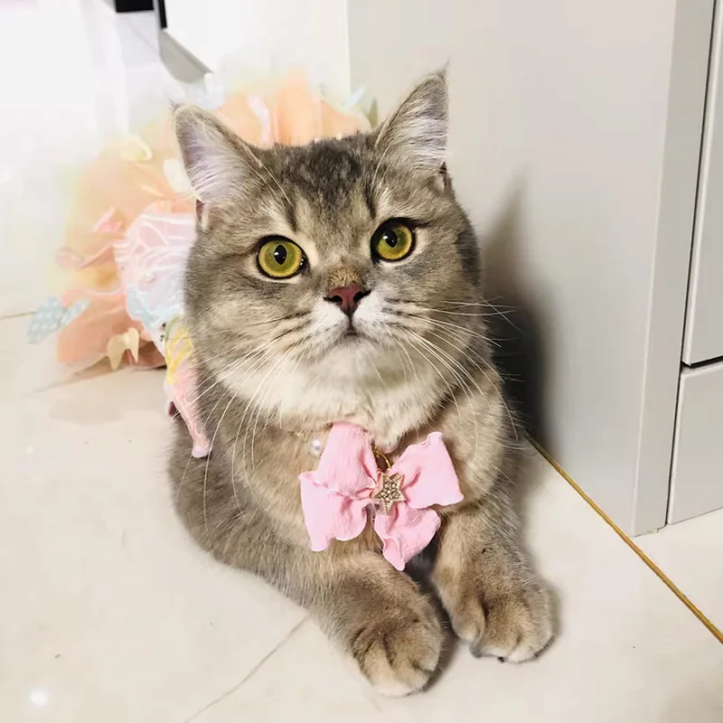 

Dog Pearls Necklace Jewelry for Small Dog Puppy Cat Wedding Collar Chihuahua Yorkie Girl Pet Clothes Costume Outfits Accessories