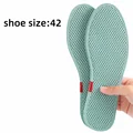 Shoe Size-42