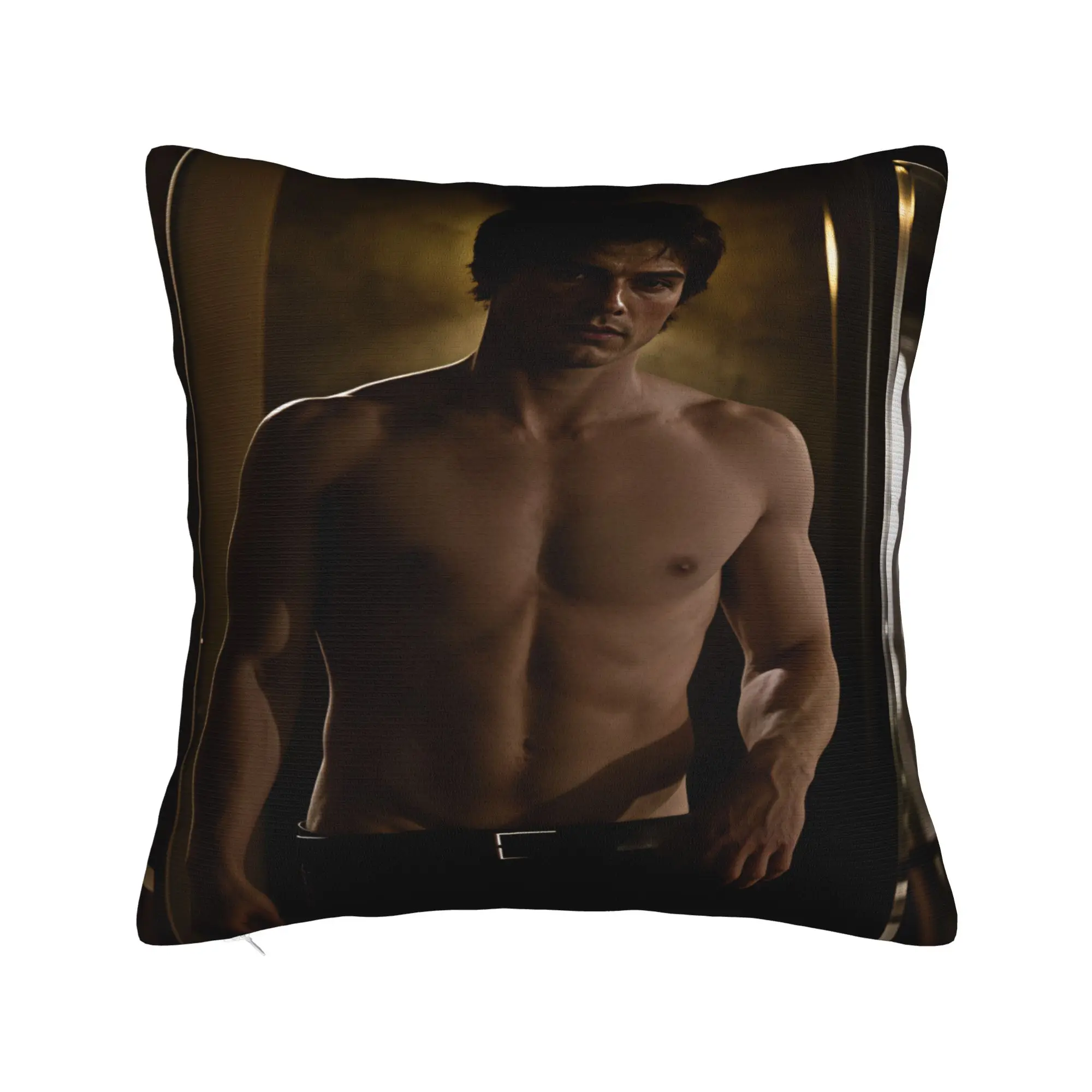 Vampire Diaries Damon Klaus  Pillow Case  Funny Pillow Cover Square Pillowcases For Sofa Home Decoration