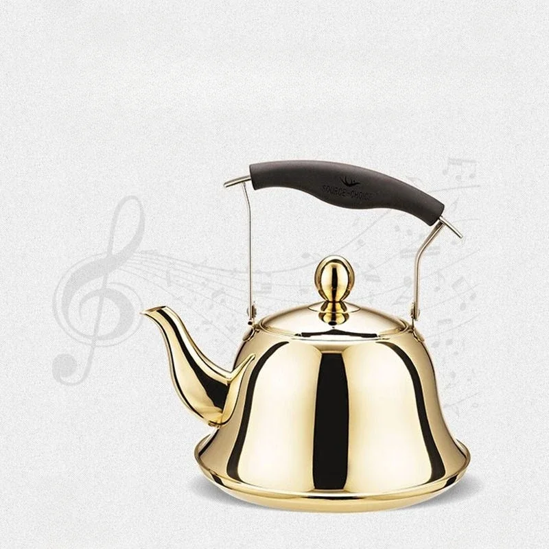 

304 Stainless Steel Whistling Kettle Gas Induction Cooker Water Pot Household Gas Kettle Creative Teapot