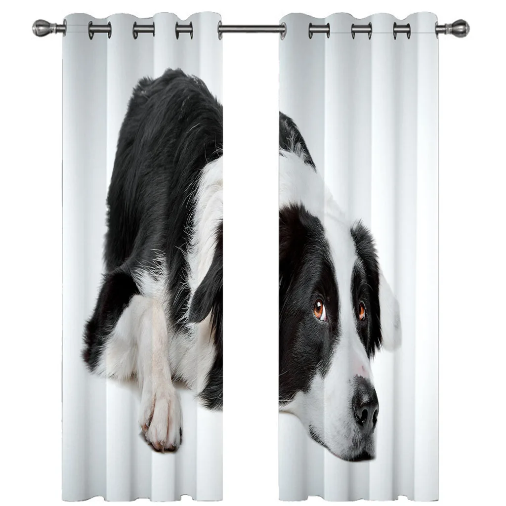 

HUANZHUANG Living Room Curtains Black And White Puppy Print Children'S Modern Curtains Panel Bedroom Balcony Den Kids Room