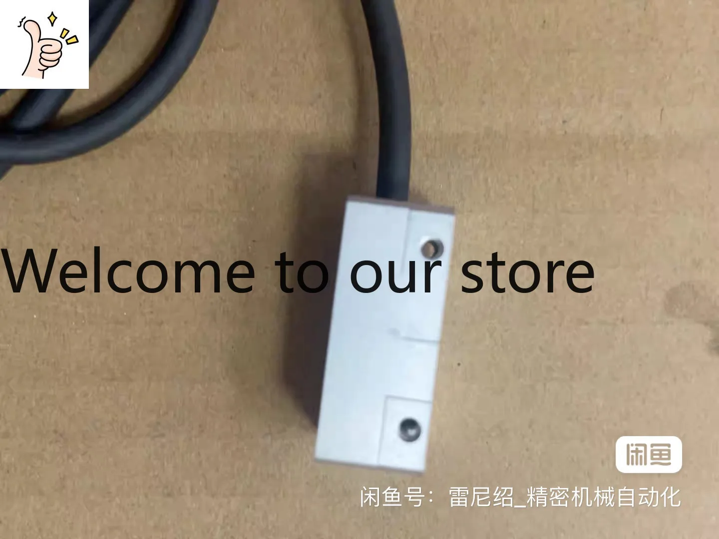 LAMOTION Dalian Banyan Grating Reading Head RU2LFFN03R, 0.1um. Disassembly Product