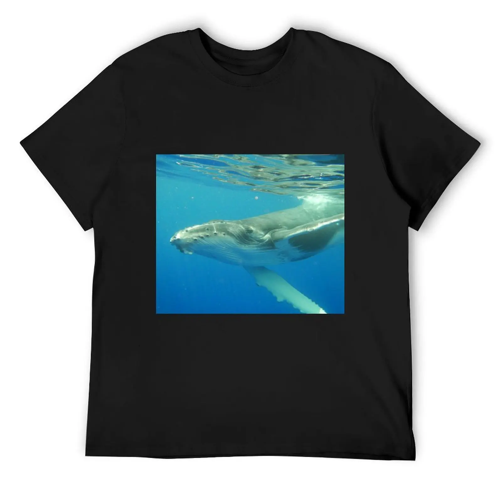 Friendly Humpback whale calf T-Shirt sports fans graphic shirts blue archive clothing for men