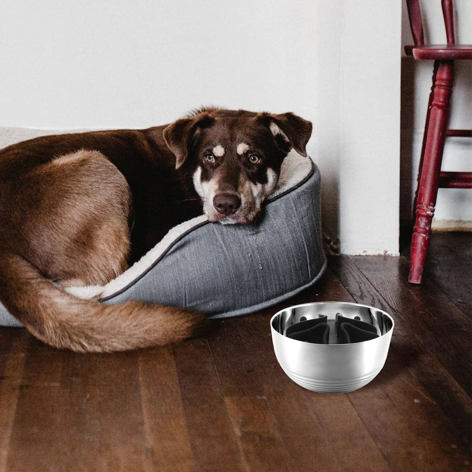 

Slow Feeding Dog Bowl Silicone Pet Supplies Wear Resistant Large Size Slow Eating Puppy Food Container Digestion Aid