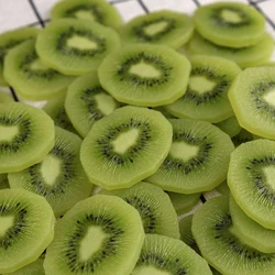 PVC Realistic Kiwi Fruit Slices Prop Display Fresh Artificial Fruits Fake Food Model Peel Skin DIY Candy Real Sample Health