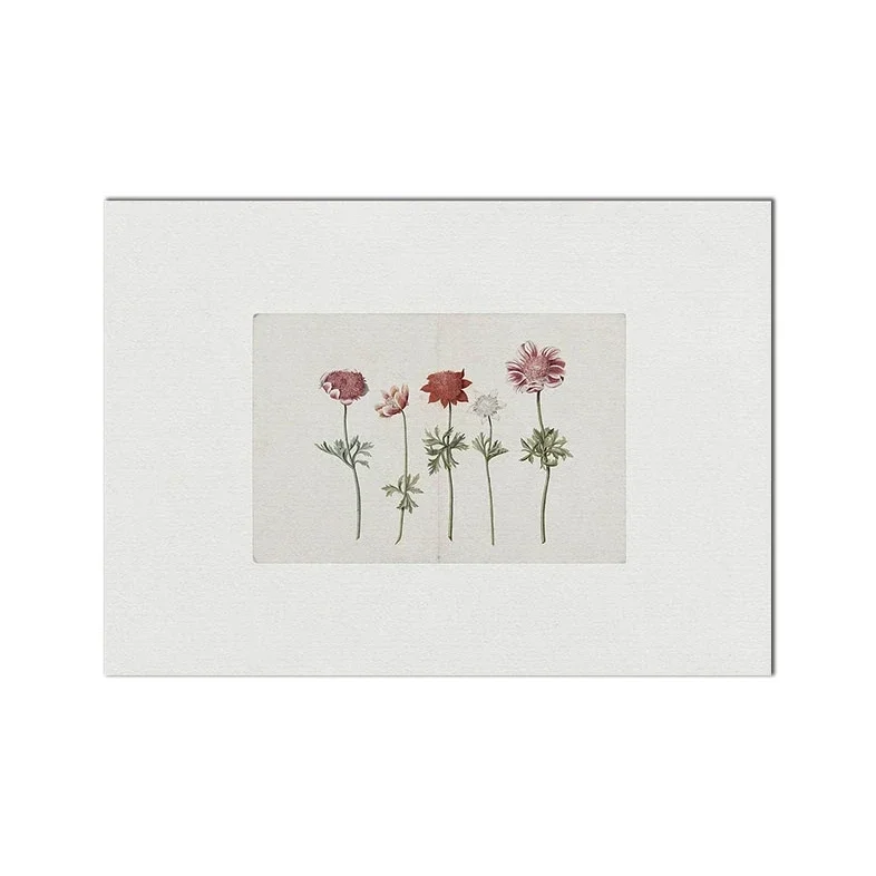 European Retro Botanical Ancient Flower Canvas Painting Wall Art Poster Print for Living Room Bedroom Home Vintage Decor
