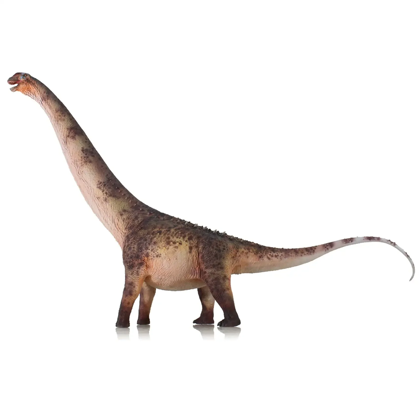HAOLONGGOOD 1:35 スケールアルジェンティノサウルスモデル恐竜動物