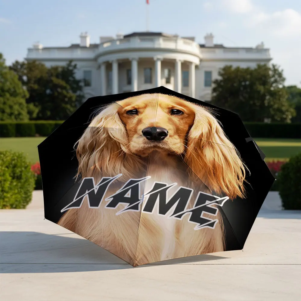 Custom Name umbrella, Golden Retriever Portrait on Black Background Umbrella Fashion Folding Umbrella for Daily Use, Gift