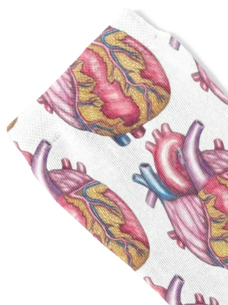 Big Hearted Cardiomegaly Heart Pathology Socks hiking football Wholesale kids Socks Male Women's