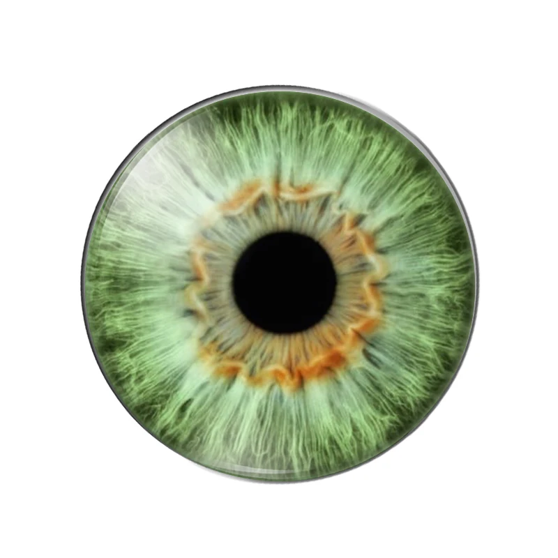 glass eyes cabochons Round 8MM-30MM Round Dome Dragon Eye Dragon Cat Eye Toys DIY Jewelry Accessory MIX Pupil Eye Cameo