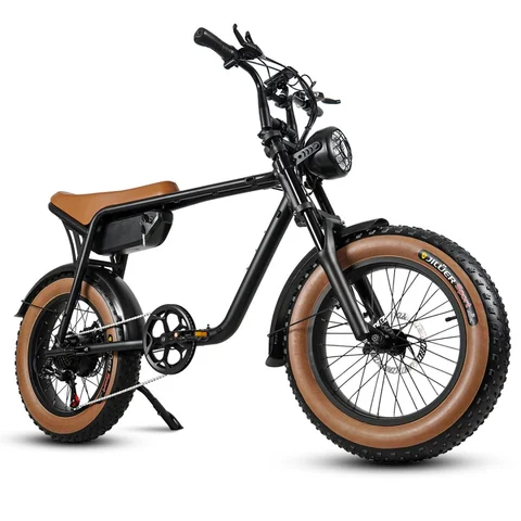 성인용 500W 전기 자전거 전자 자전거 48V 17AH 산악 20'' 유압 브레이크 산악 Ebike가 장착된 지방 자전거 전기 자전거
