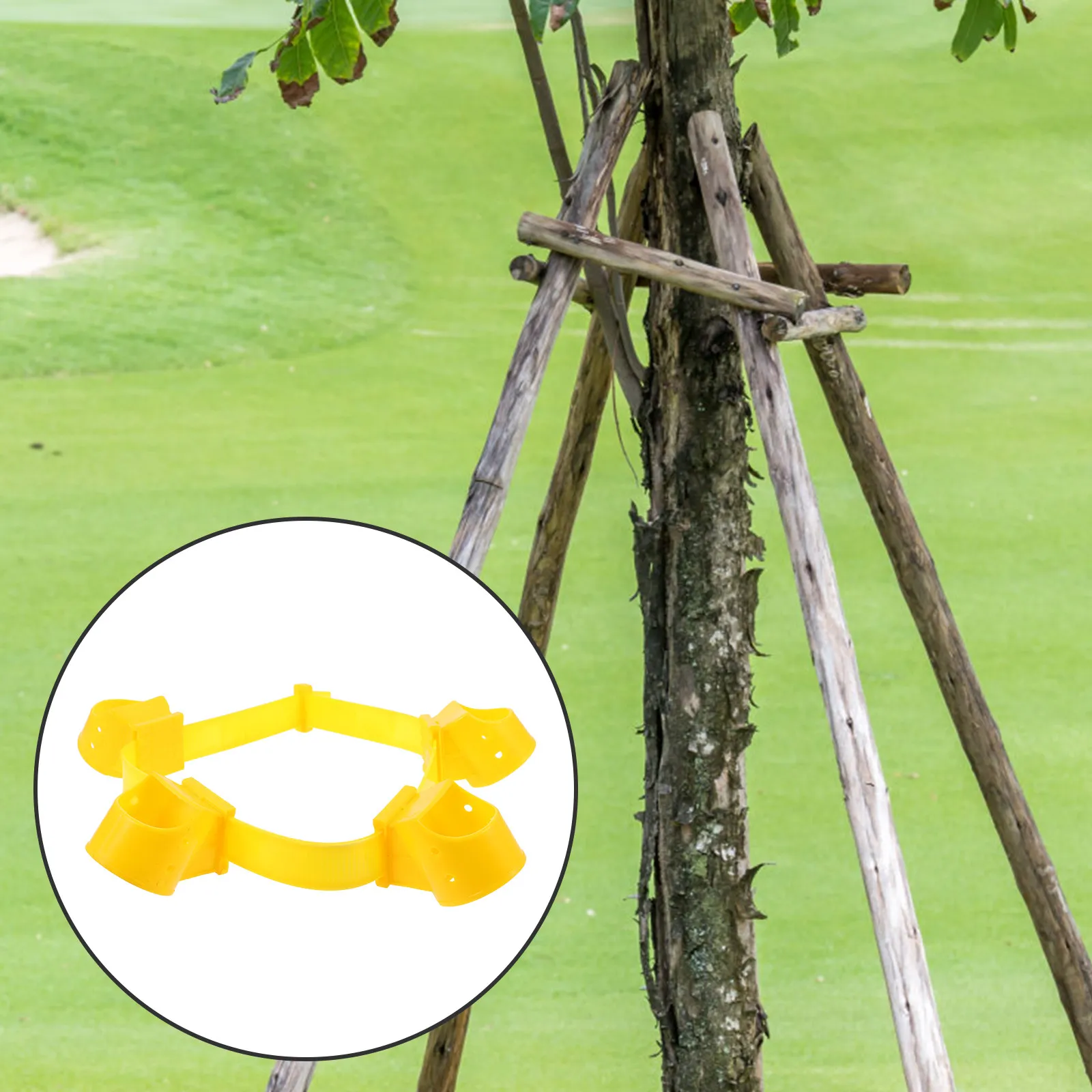 1Set Eco Friendly Tree Support Strap Non Piercing Surface Reusable Garden Tree Staking Strap for Plants Branches Trunk Fixing