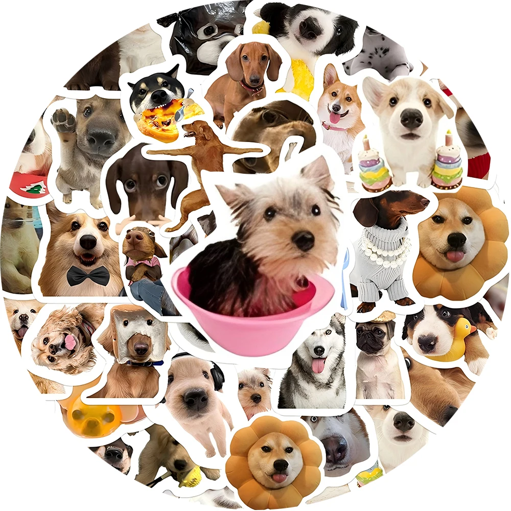 

10/30/64pcs Animal Dog Graffiti Stickers Funny MEME Decoration Decals DIY Suitcase Motorcycle Guitar Phone Cute Sticker Toy Gift