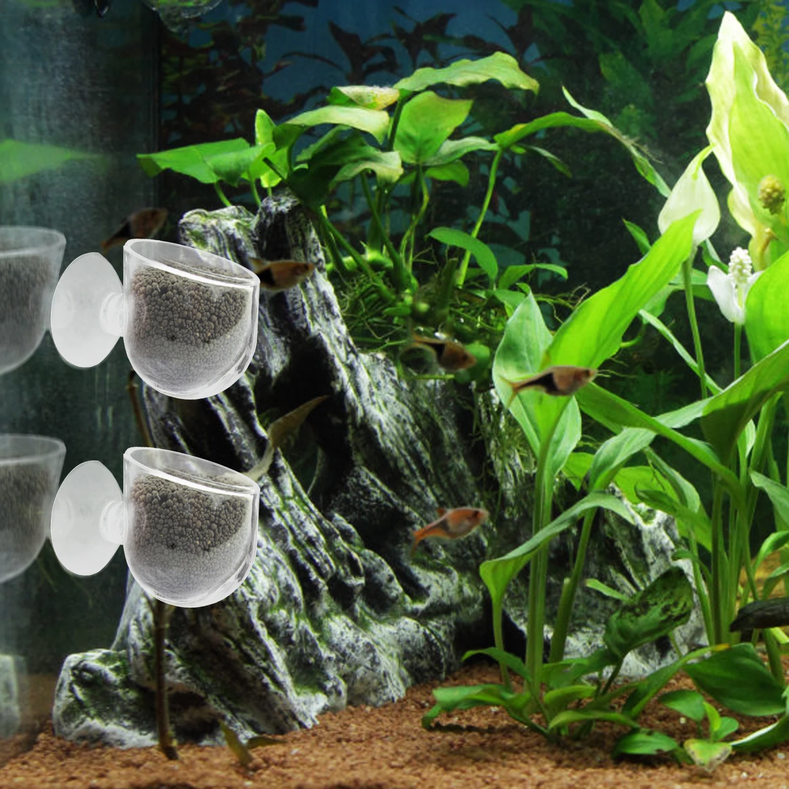 

2Pcs Aquatic Plant Cup Durable Crystal Glass Pot Double Suction Cups Permeable Holes for Fish Tank Aquarium Decoration Water