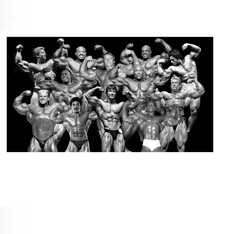 4Style Arnold Schwarzenegger Print Canvas Poster, Living Room Decor, Home Wall Picture