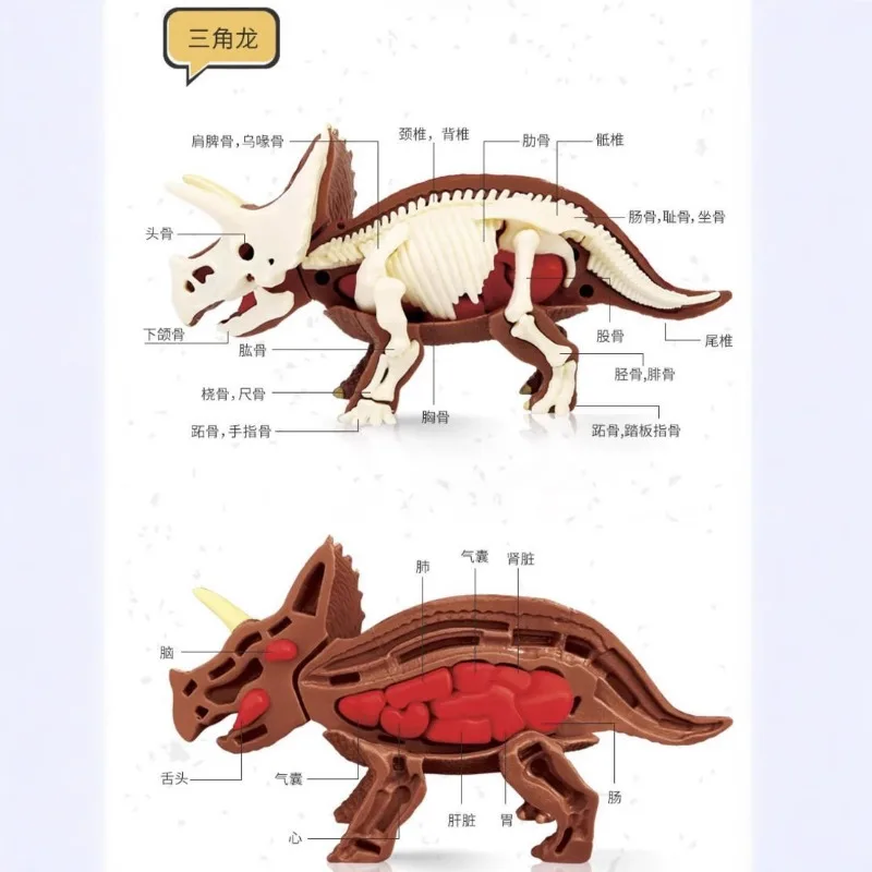 DIY zmontowane anatomiczne dinozaury zabawki dla dzieci montaż dla dzieci zwierząt kolekcjonerska zabawka dinozaura Model naukowy zestaw edukacyjny