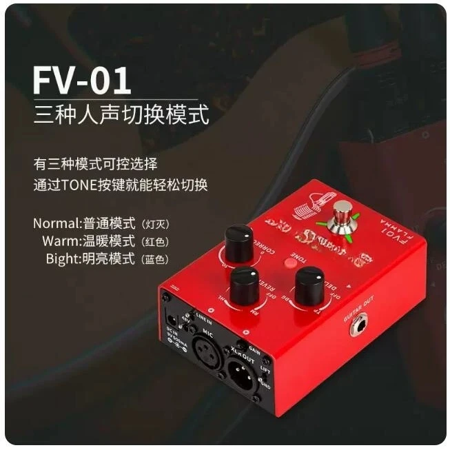 Vocal Effect Pedal FV01 FV02 FV03, Pitch Correction Delay Reverb Single Stompbox for Vocal & Acoustic Guitar