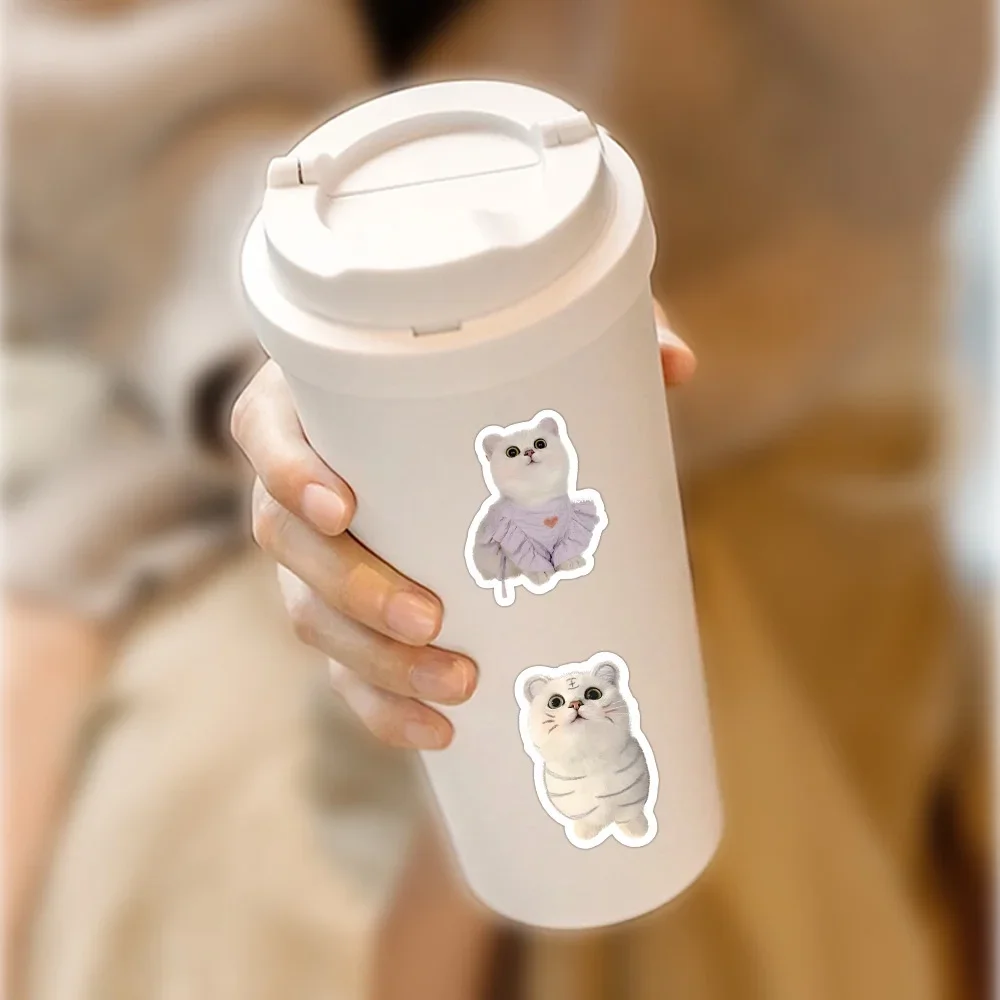 100PCS Cute Cartoon Realistic Cute Pet Kitten Waterproof Stickers For Hand Account Pencil Case Decals BulingBulingStickers Store