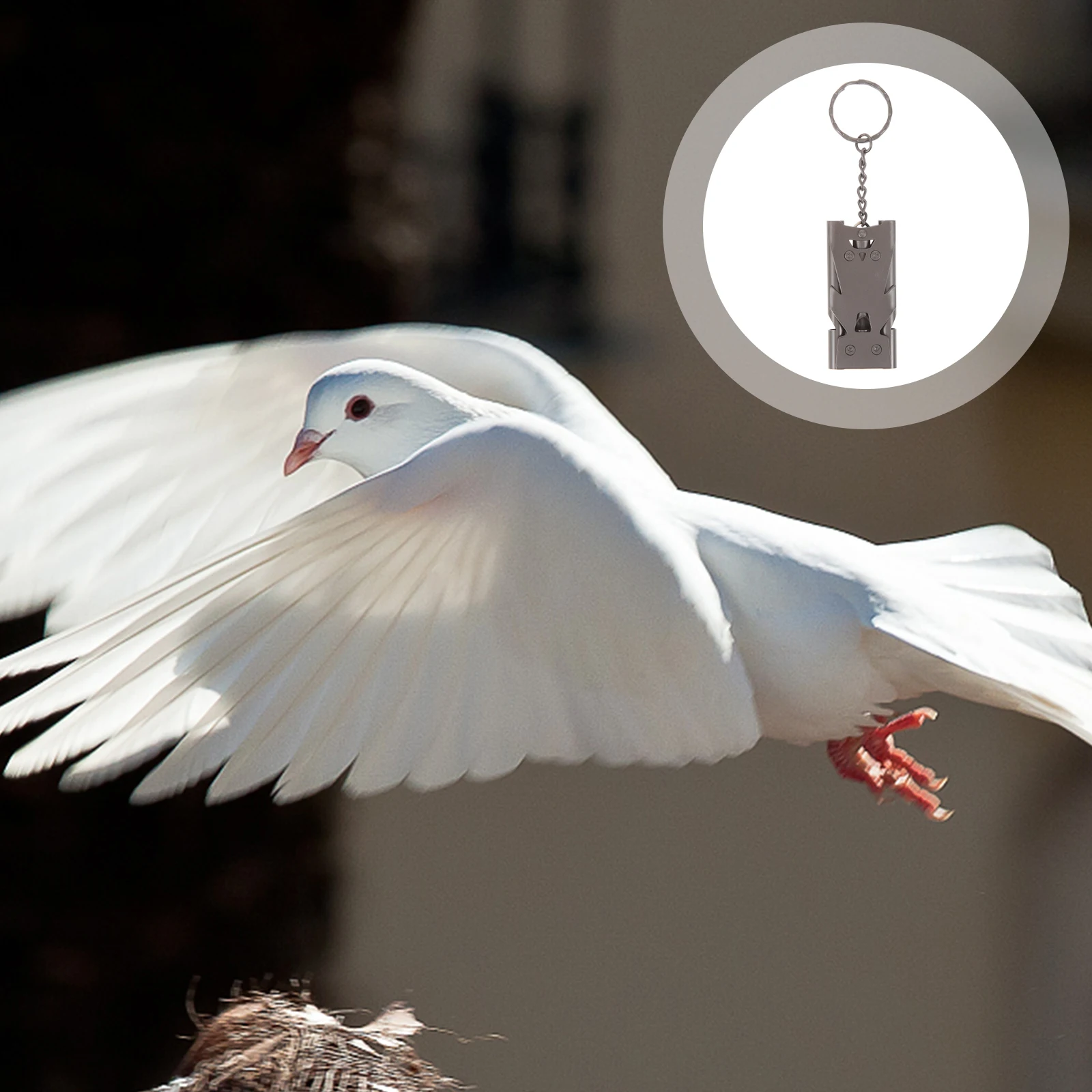 

Stainless Steel Bird Training For Pigeon Dog Parrot Portable Multi-Functional Outdoor Whistle Pet Accessory Cage Tool Key Ring