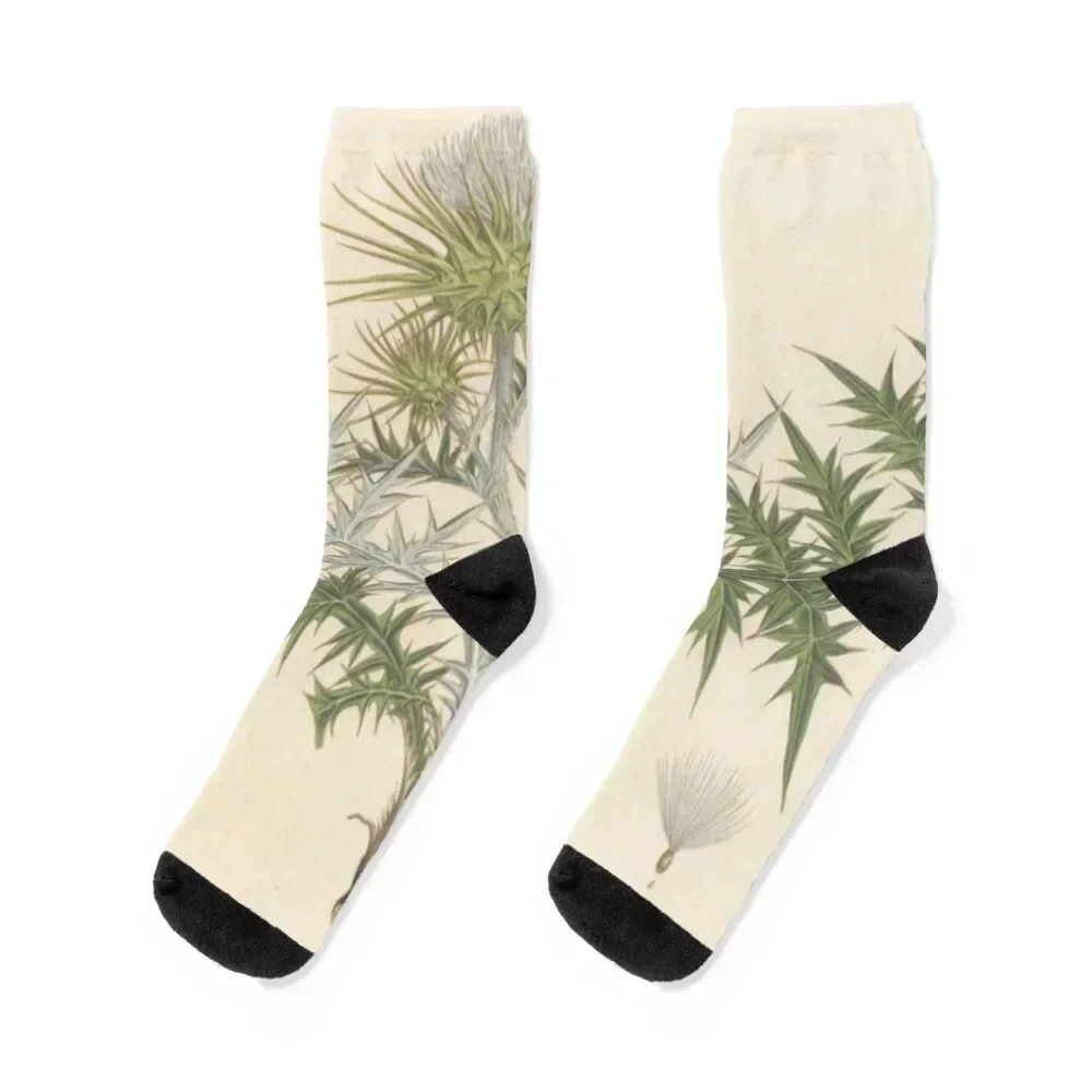 

Naturalist Thistle Socks loose shoes Socks Men Women's