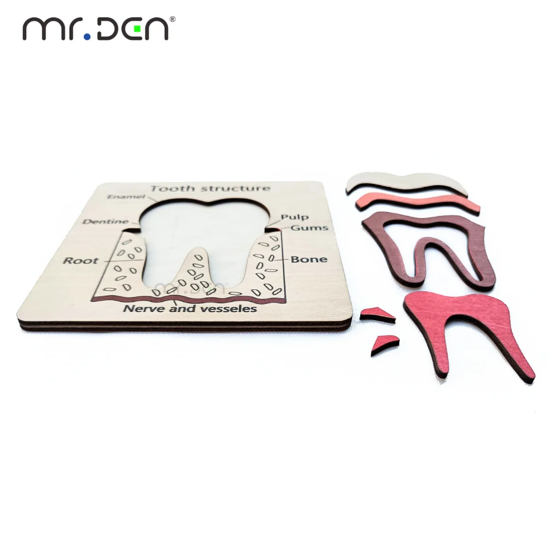 Juego de Exploración Dental, R - Board Game For Kids reseña y precio