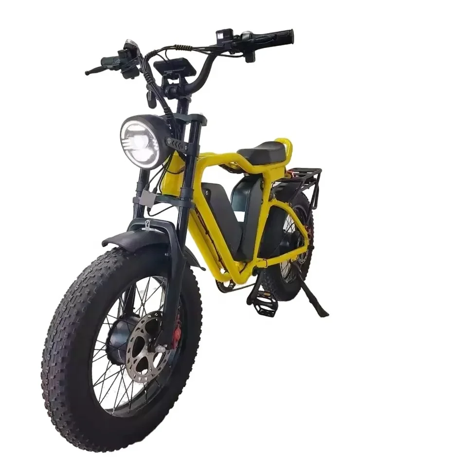 20 inch 4.0 FatBike fully suspended electric bicycle 1000W X2 dual motor 22Ah * 2 dual battery hydraulic brake electric bicycle