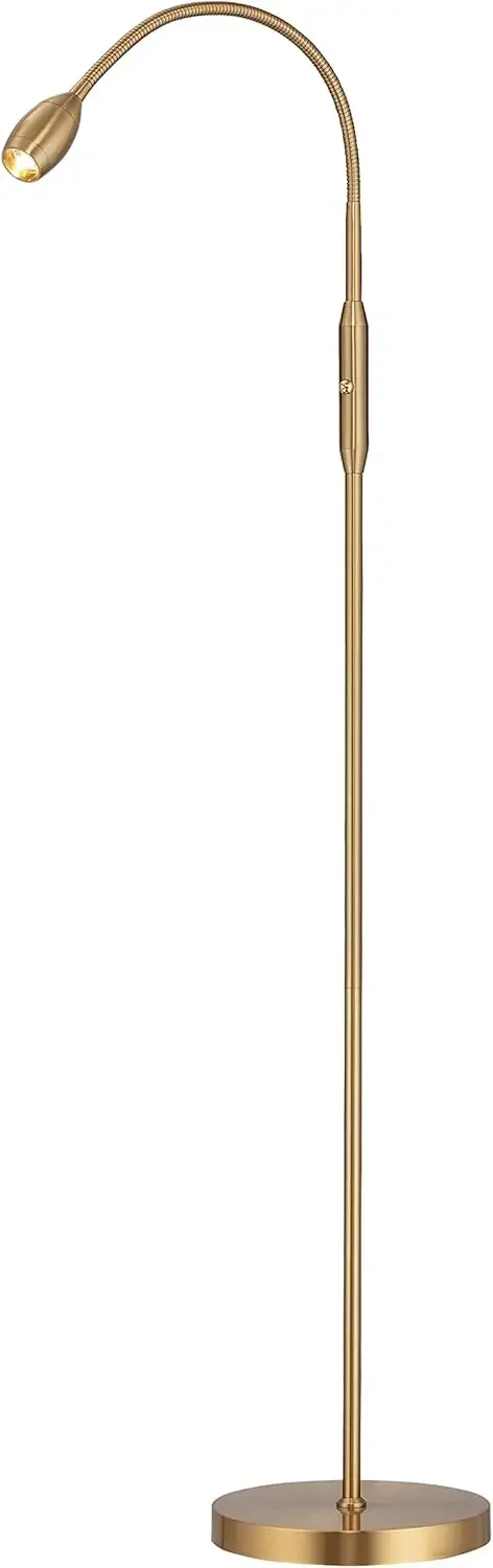 

Adjustable LED Beam Floor Lamp, Dimmable and Zoomable Spotlight, Flexible Gooseneck, Reading/Crafting Standing Lamp,