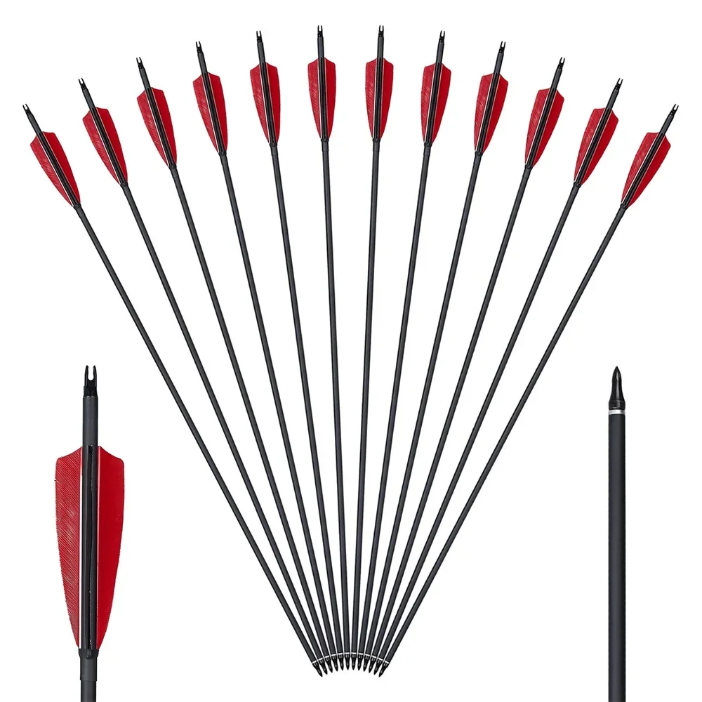 

24pcs Archery Mixed Carbon Arrow with Natural Turkey Feather 30 Inches for Compound/Recurve Bow Shooting Hunting