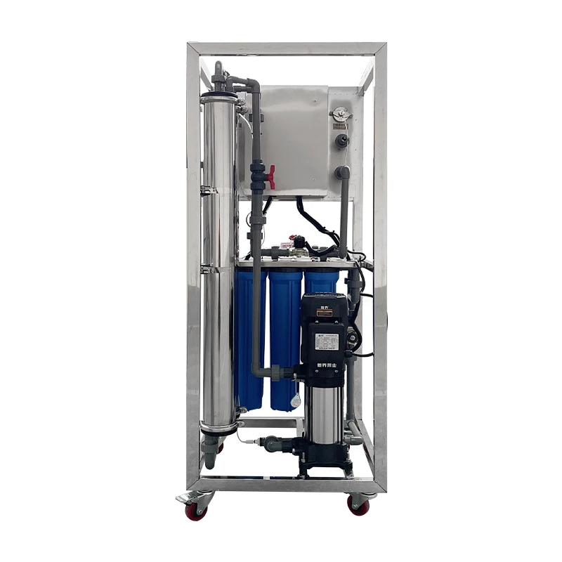 250LPH Water Treatment Plant RO Water Filter Machine Purifier