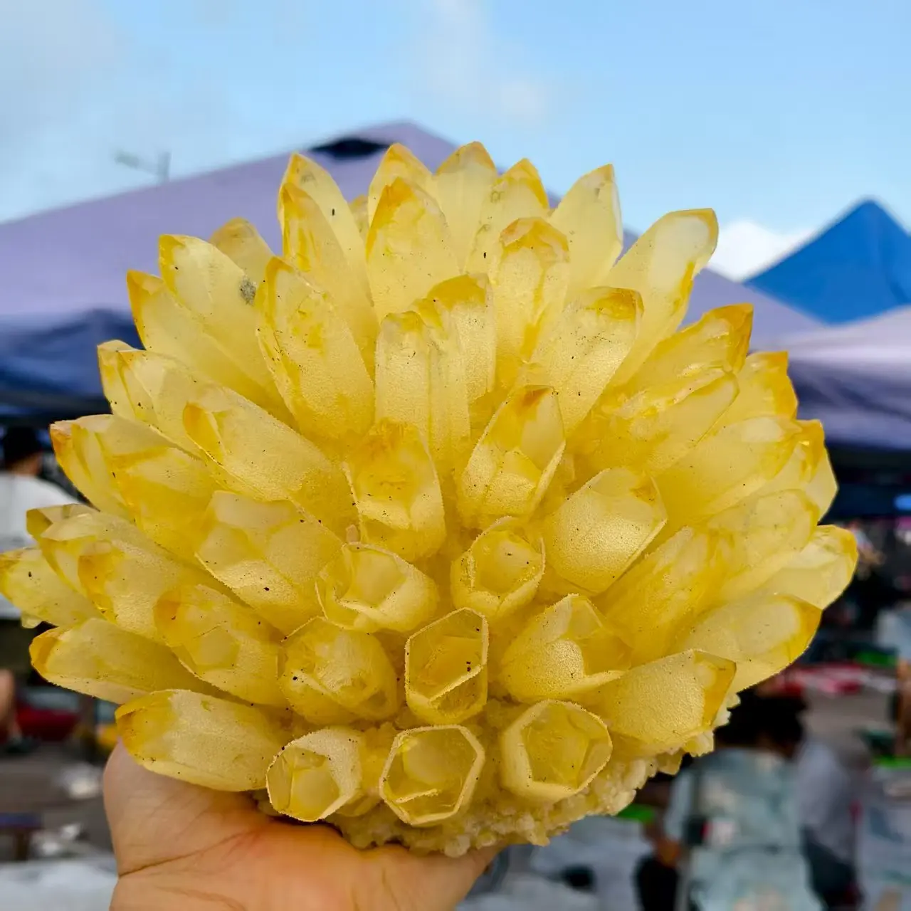 

Large! Natural Newly Discovered Yellow Crystal Quartz Clusters,Crystal Ore Clusters,Minerals, Reiki, Healing Clusters