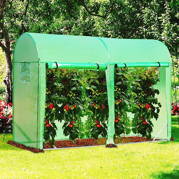 Plant Growth Warm House Outdoor 4 Windows  PE Cover Green Garden Walk-in Greenhouse with Double Roll Up Doors