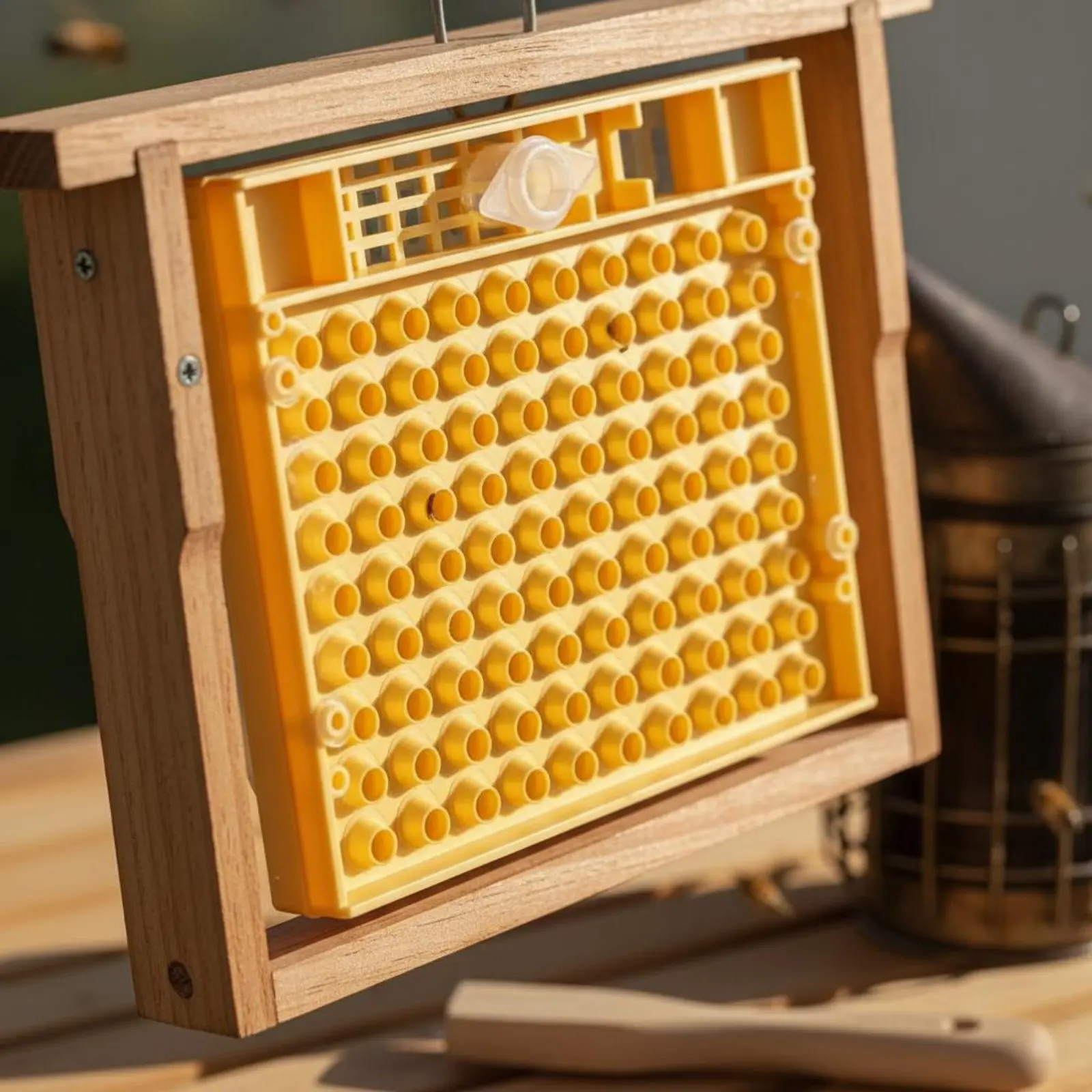Queen Rearing Cup Kit Easy to Use Queen Cell Starter Box Beekeeping Tool Reusable Long-Lasting for Apiary