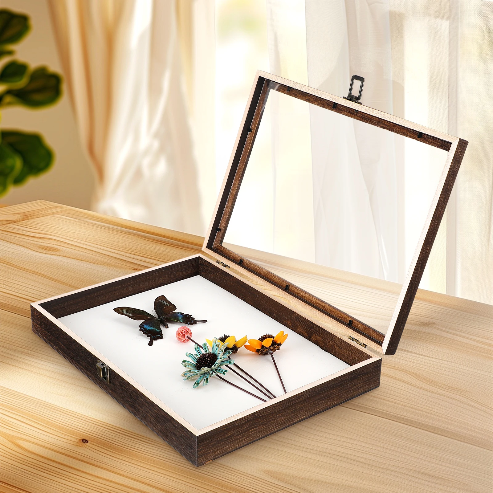 

Specimen Display Box High Grade Wood Acrylic Retro Clear Waterproof Dustproof Large Capacity Storage Shadow Frame