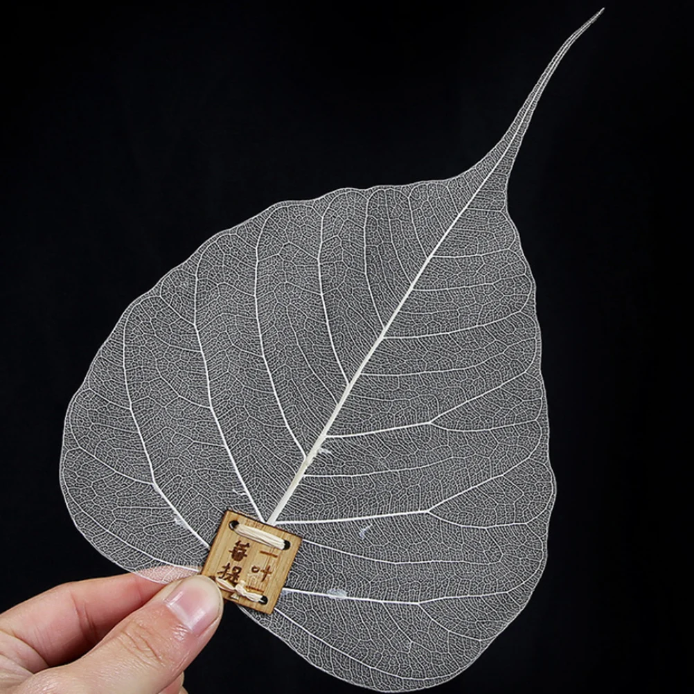 

Tea Strainer Tea Filter Strainer Leaf Shape Strainer Household Tea Strainer