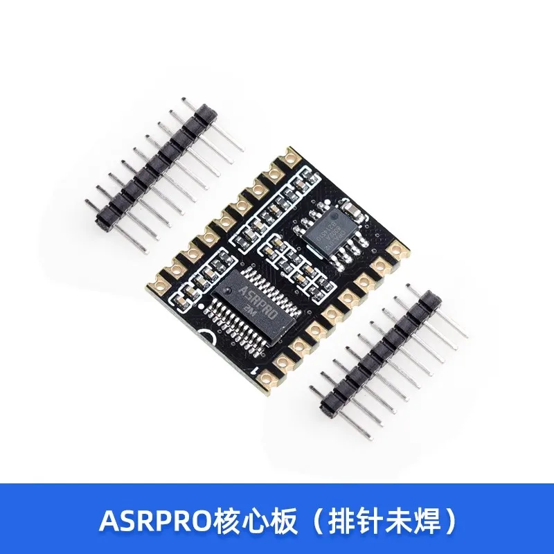 ASR-PRO module intelligent de commande de reconnaissance vocale AI identifie l'entrée définie par l'