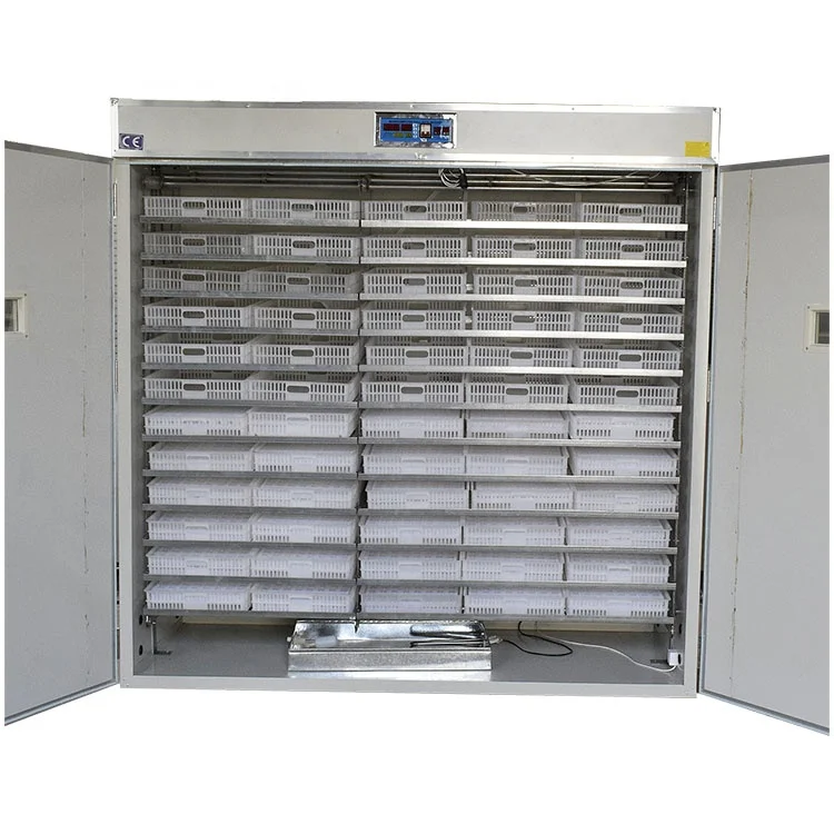 5000 Eggs   Machines for Small Business Farm Egg Tray Incubators Solar Full Automatic Chicken Egg Incubators for Sale Hatching