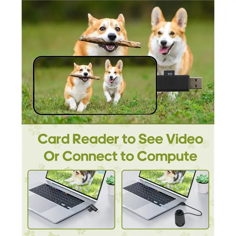 طوق كاميرا ABKN-Cat 1080P HD كاميرا رياضية صغيرة الحركة مع تسجيل فيديو، بطاقة SD 16G، جميع الأنشطة مستلزمات الحيوانات الأليفة/الأشياء #3