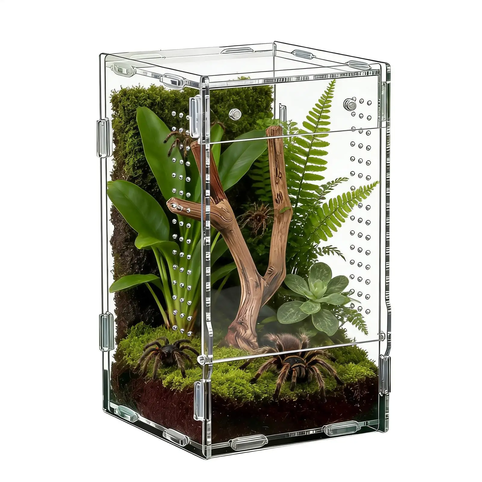 Enclos pour araignées sauteuses, conteneur d'alimentation en acrylique anti-évasion pour animaux rampants, pour l'observation des animaux de compagnie à domicile.