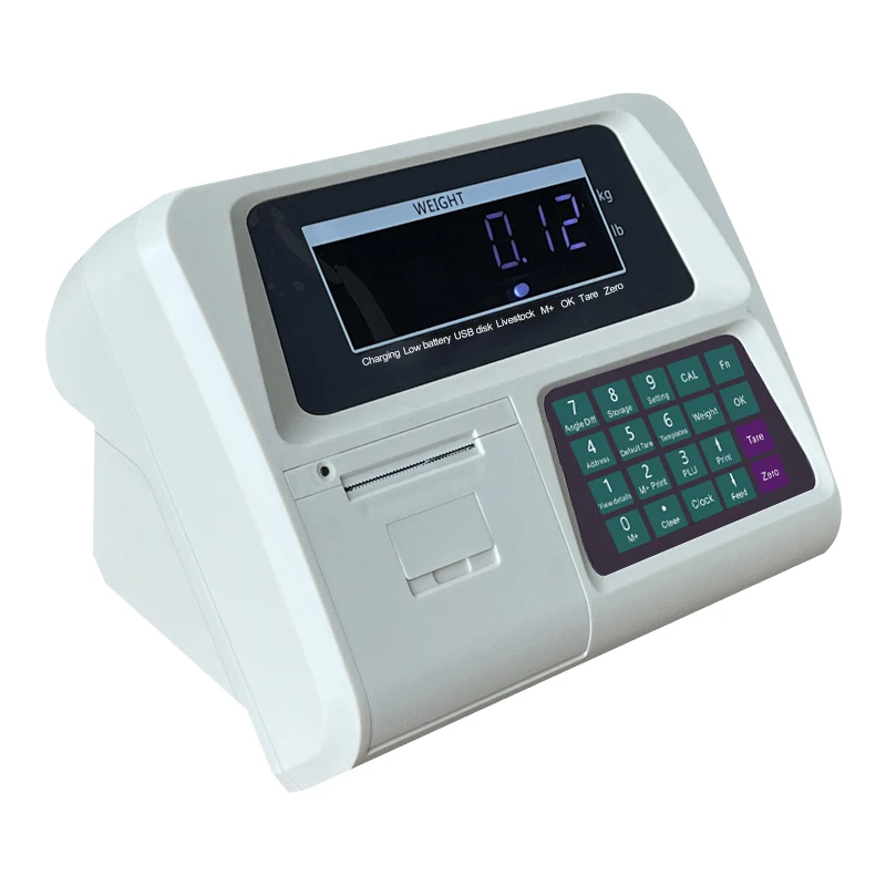 Promotion Commercial Digital Weighing Indicator  Price Calculating with Ship switch for Food Industry