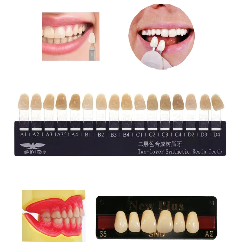 Dental Lab Synthetic Denture Teeth 28Pcs Multi‑Layer Hard Resin Teeth for Full Partial Denture Model Making Extra‑oral Lab Use
