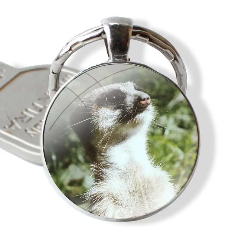 Glazen Cabochon Sleutelhanger Auto Sleutelhanger Bedels Sleutelhangers Geschenken Schattige Baby Meerkat Accessoires Telefoonhoesjes Hoesjes Hoesjes